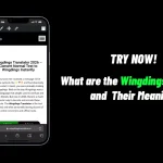What Are the Most Commonly Used Wingdings Symbols and Their Meanings?