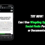Can I Use Wingding Symbols in Social Media Posts or Documents? 8 Can I Use Wingding Symbols in Social Media Posts or Documents?